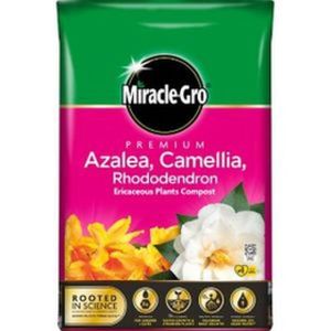 Miracle-Gro Ericaceous Compost 20 Litres